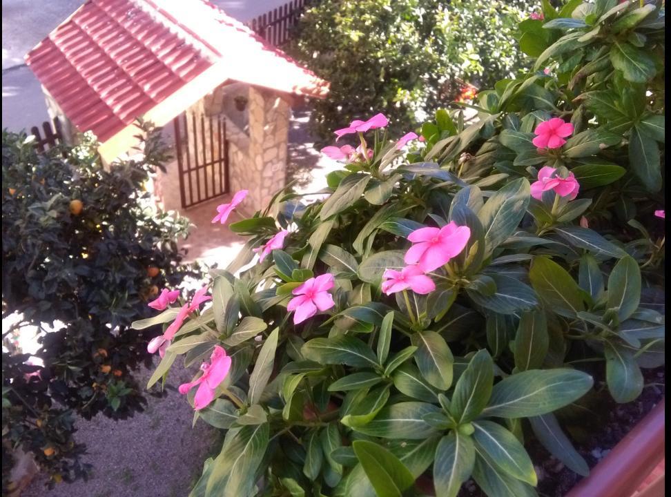 Casa Belvedere Apartment Agrigento Exterior photo